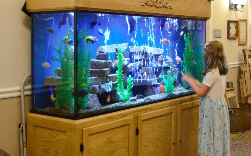 young girl interacting with fish in a serenity aquarium