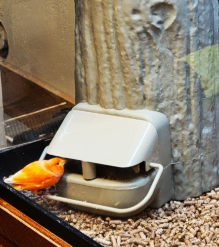 View of Gallery | Serenity Aquarium & Aviary Services