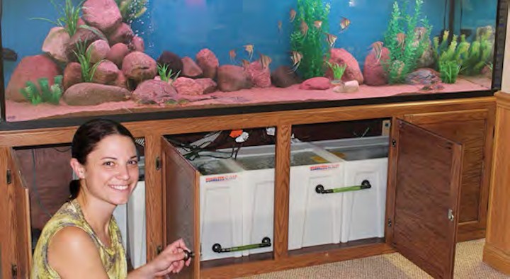 serenity_aquarium_services_tank_service_reps_1.0