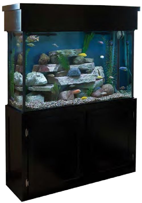 Contemporary Style Aquarium