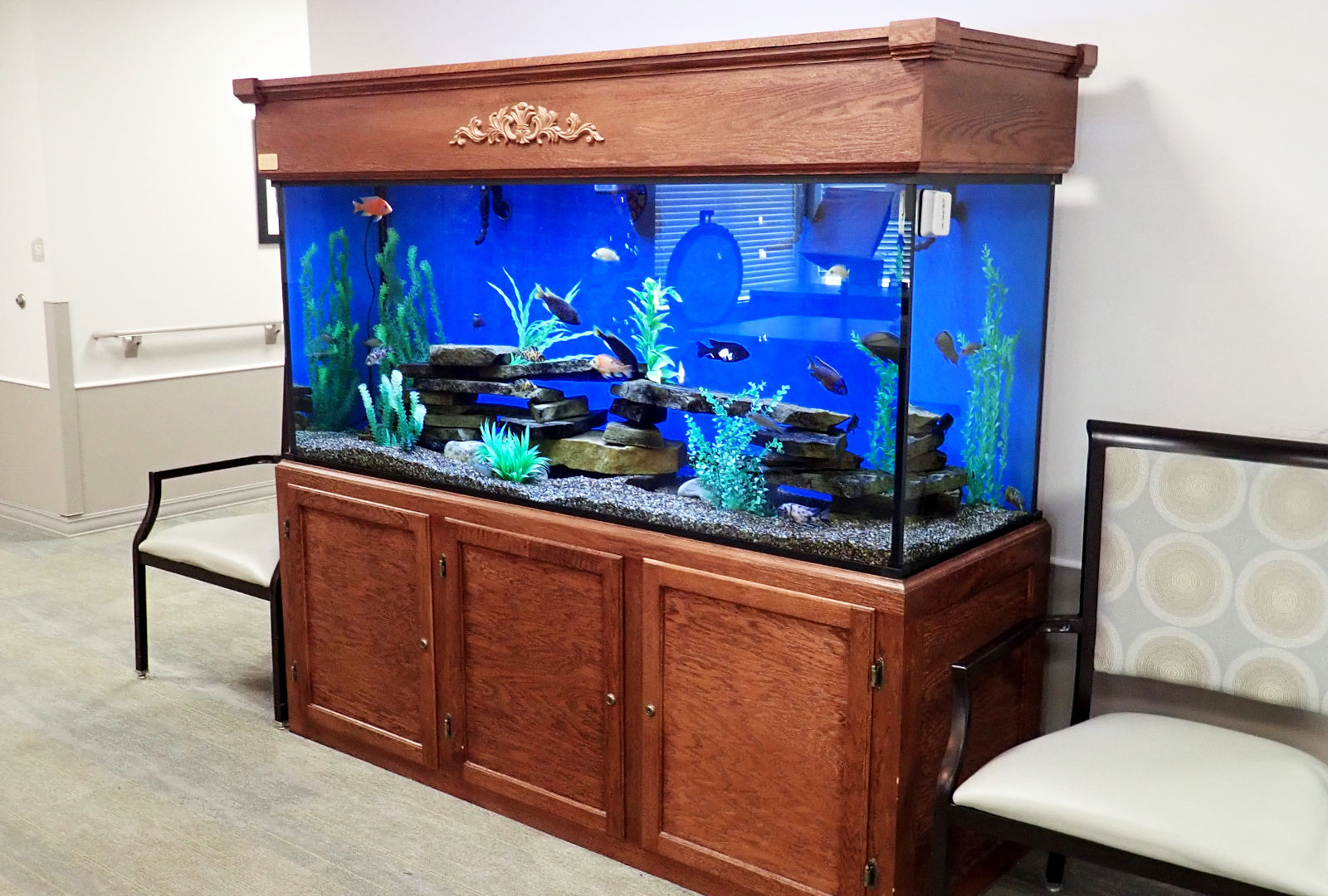 Serenity Fish Aquarium