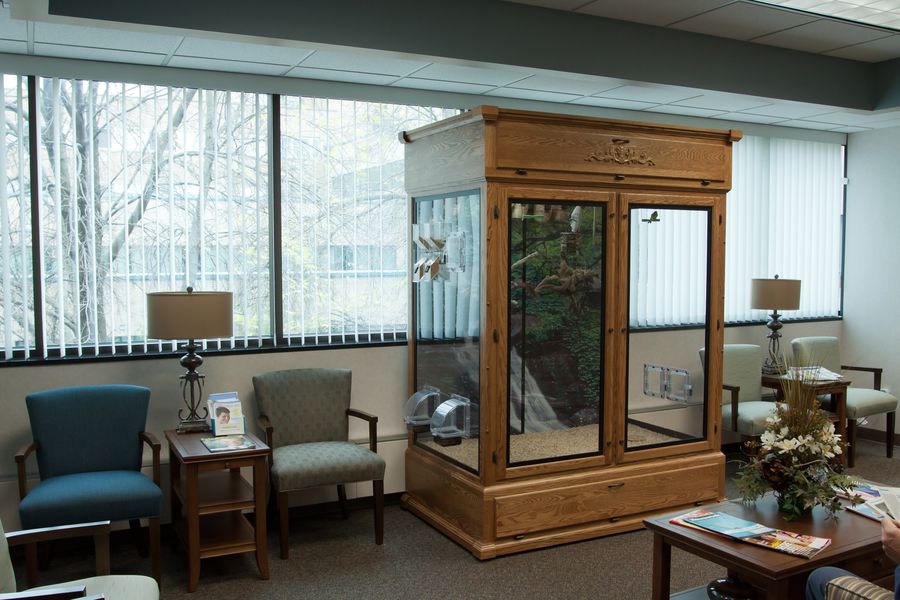 Large Serenity aviary for offices and lobbies placed in waiting room