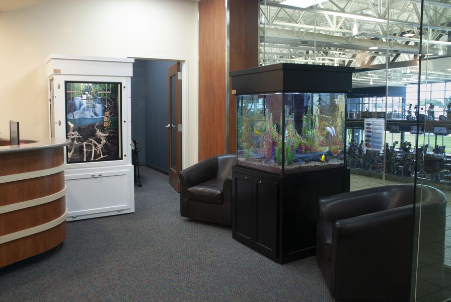 Serenity Aquarium and Aviary Services Nursing Gym Lobby Aquarium