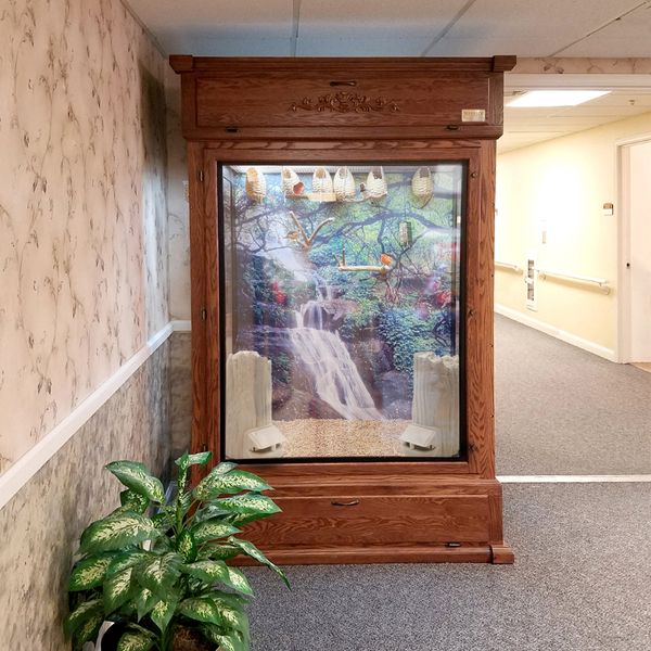 Serenity Aquarium and Aviary Services Hallway Aviary