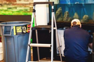 Serenity service technician cleaning aquarium sump system