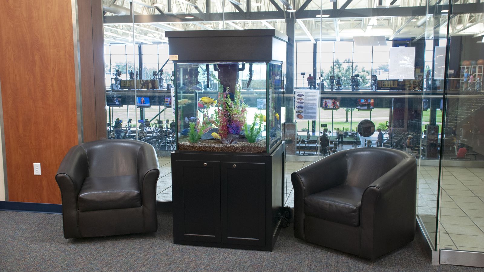 Serenity aquarium in a small business