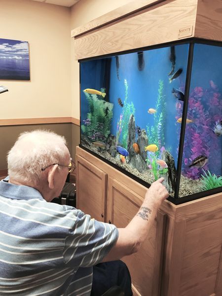 man infront of aquarium