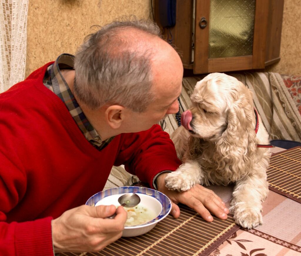 older man with cocker spaniel eating soup