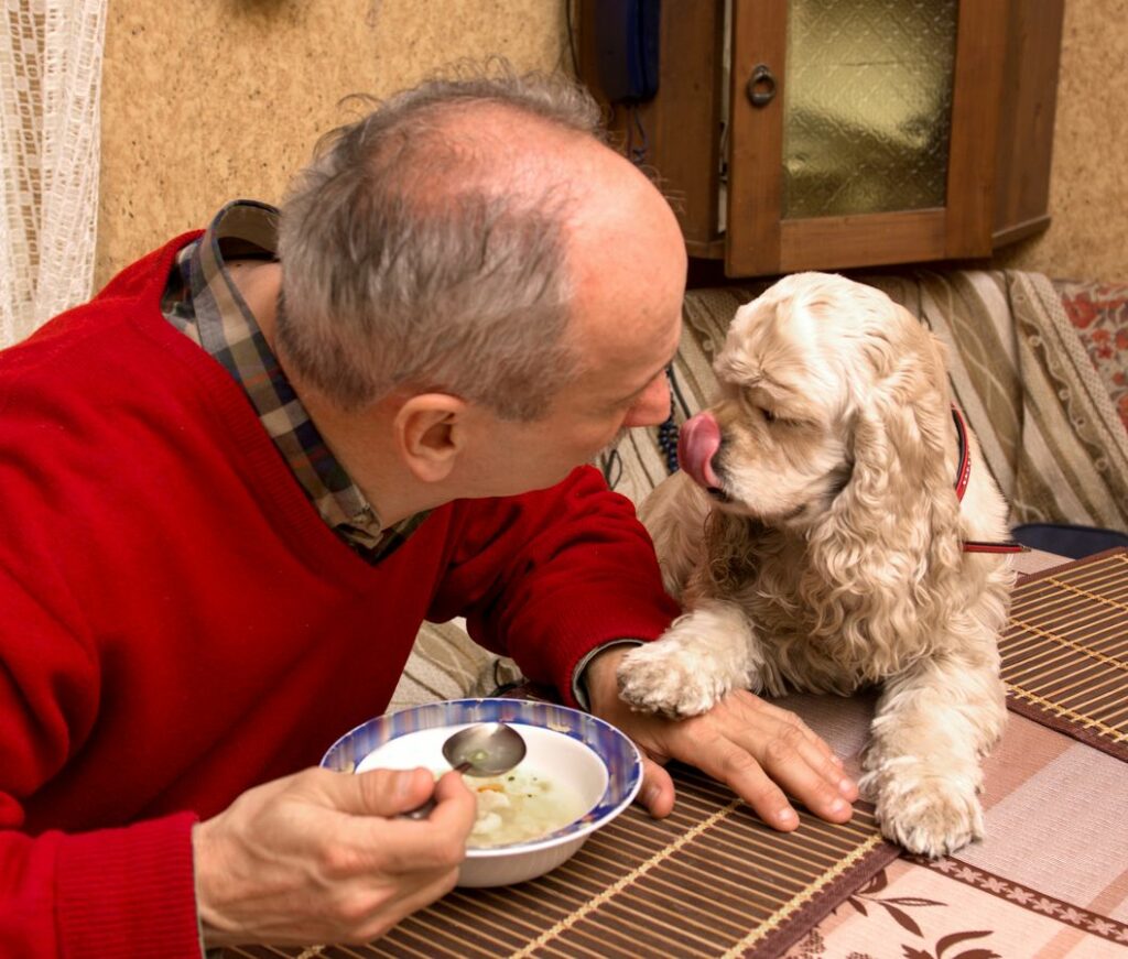 older man with cocker spaniel eating soup