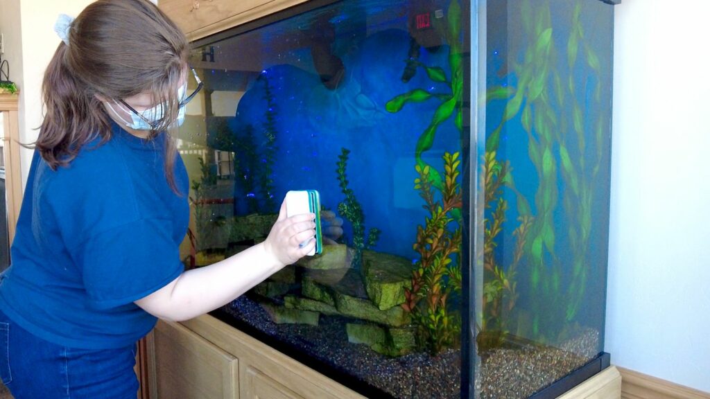 serenity service rep cleaning the inside of the glass of a fish tank