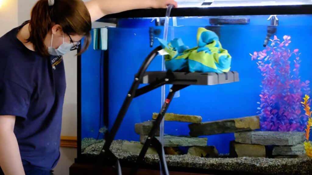 serenity service rep cleaning and draining water from a fish tank