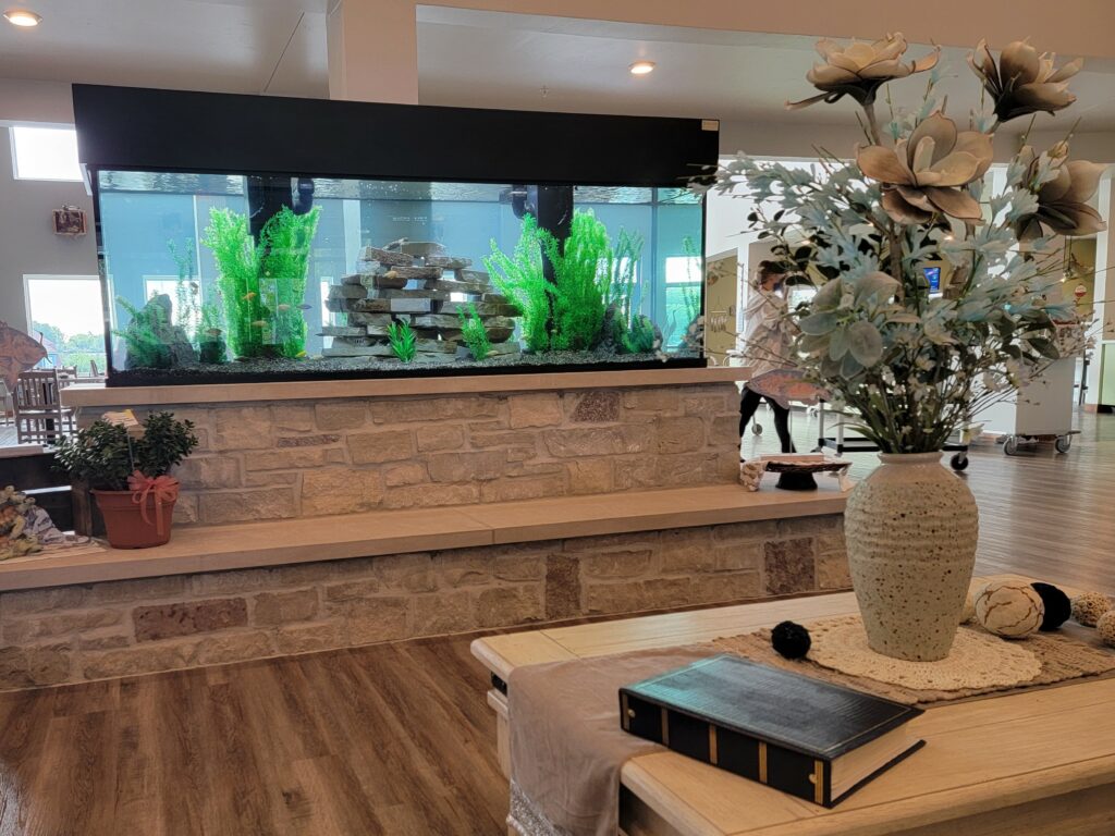 large clean fish tank with natural decor