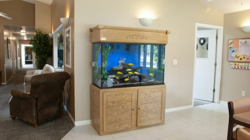 serenity-office-fish-tank-in-nursing-home-dining-room