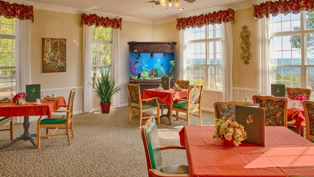 aquarium in the corner of a restaurant with natural light