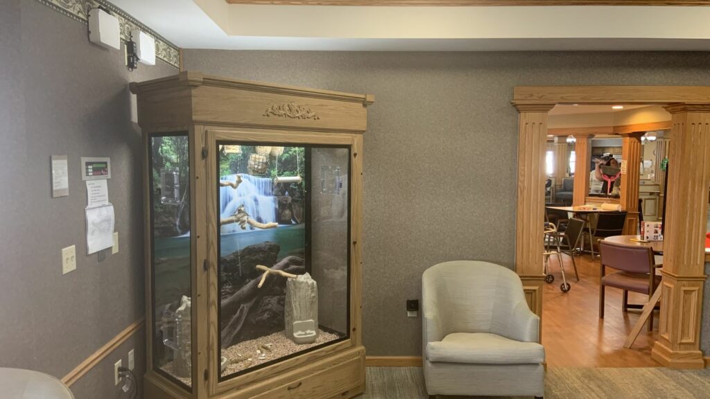 bird aviary in the corner of a room in a nursing home