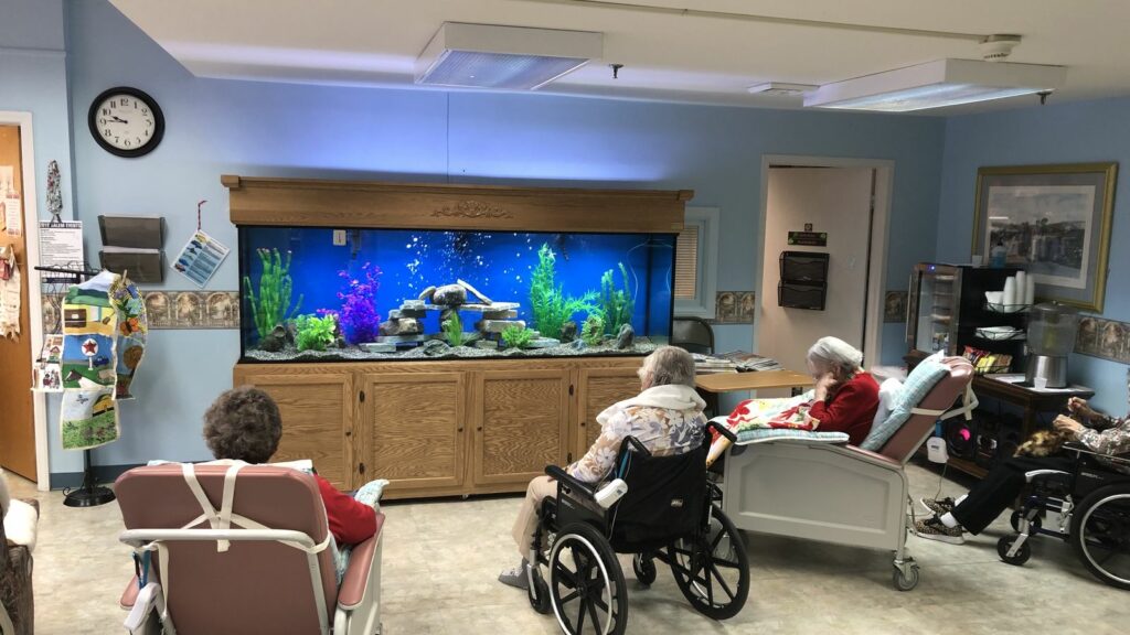 nursing home residents observing a serenity aquarium for a sensory activity