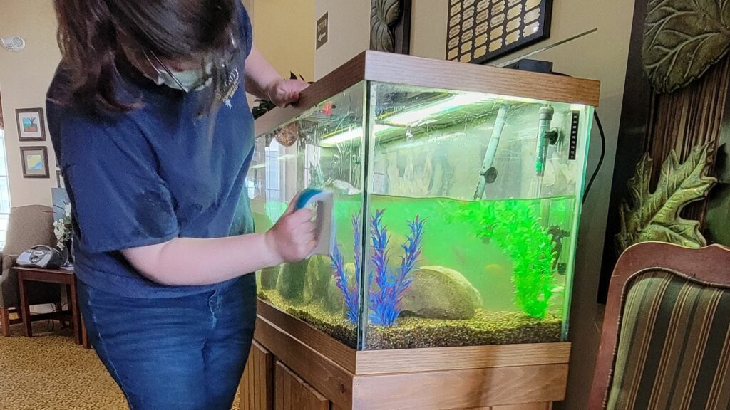 serenity service rep cleaning dirty existing aquarium