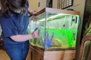 serenity service rep cleaning dirty existing aquarium