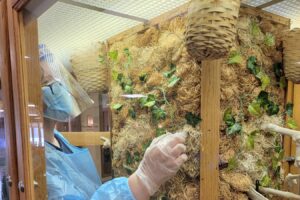 serenity service rep cleaning an existing aviary