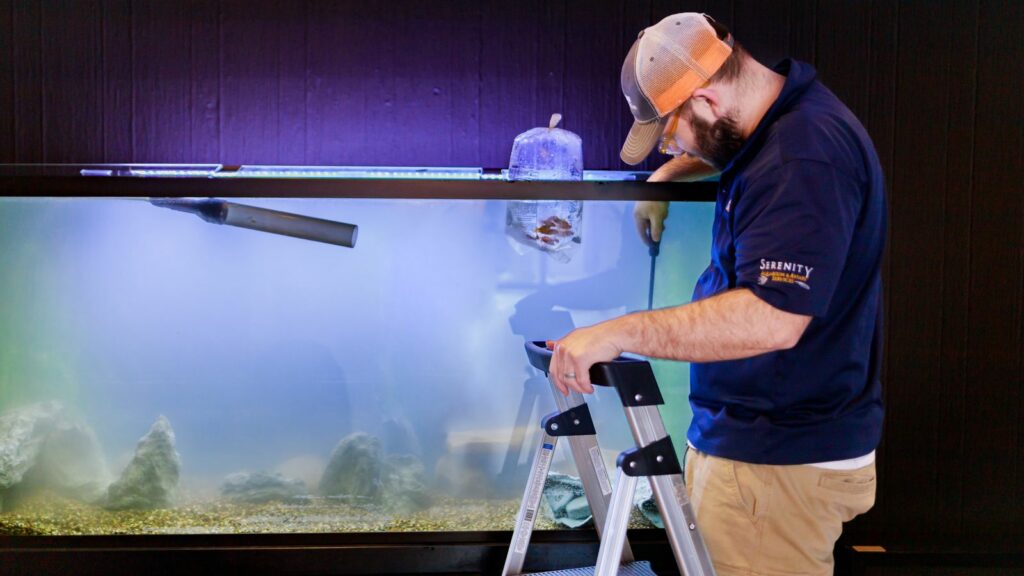 serenity service tech cleaning a freshwater fish tank