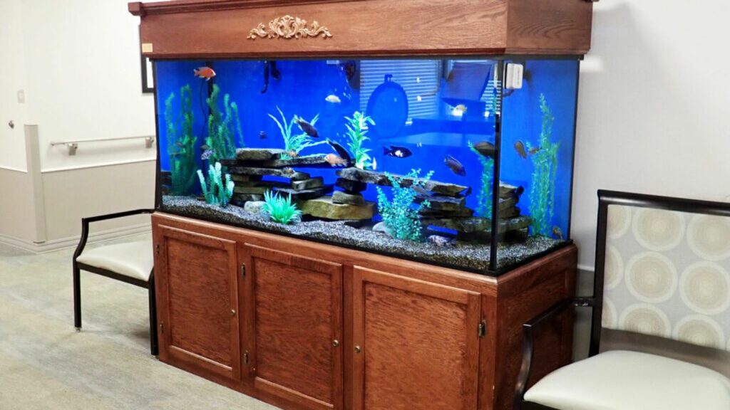 serenity aquarium in a nursing home hallway