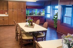 aquarium in the corner of a dining room