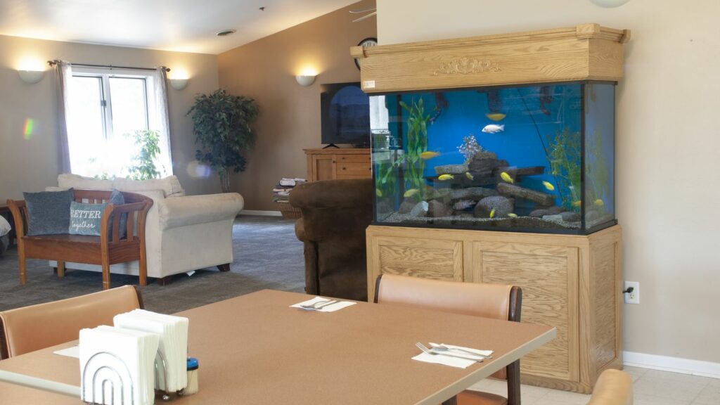 serenity aquarium by a dinner table