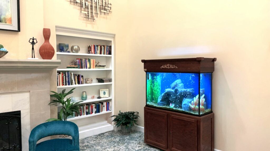 serenity aquarium next to a book shelf and comfy chairs