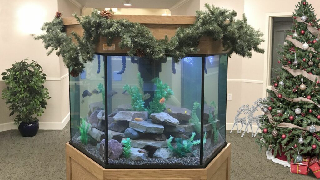 serenity aquarium and christmas decor for a holiday party