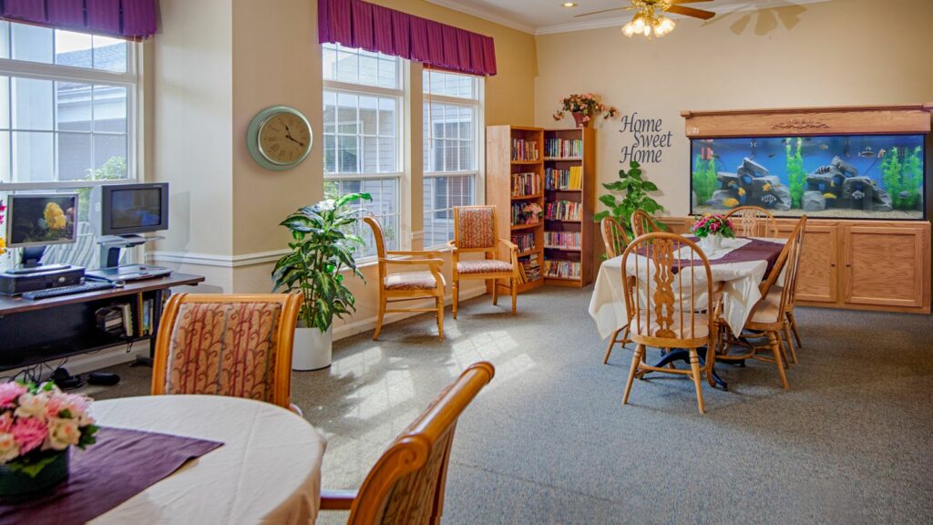 well lit waiting room with open windows, warm lighting, and a serenity aquarium