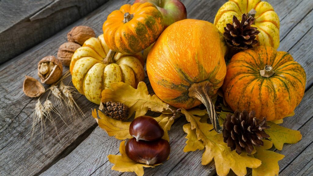 reusable thanksgiving holiday decorations